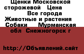 Щенки Московской сторожевой › Цена ­ 35 000 - Все города Животные и растения » Собаки   . Мурманская обл.,Снежногорск г.